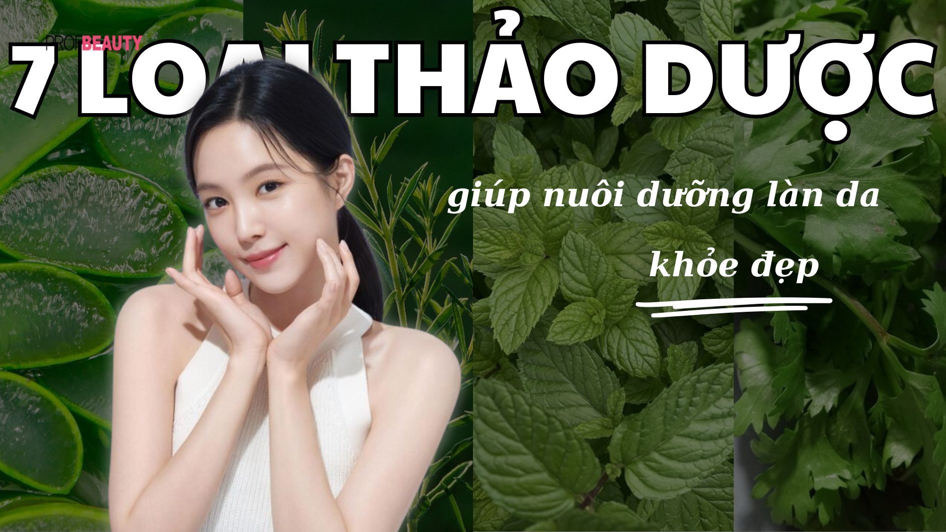 7 loại thảo dược dễ trồng giúp nuôi dưỡng làn da khỏe đẹp