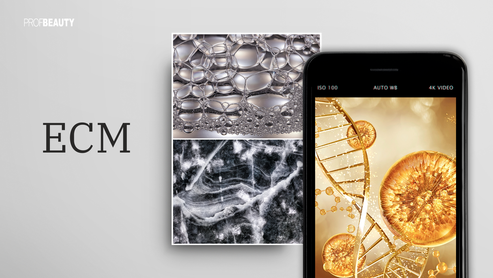 Định nghĩa lại khái niệm lão hoá từ ECM