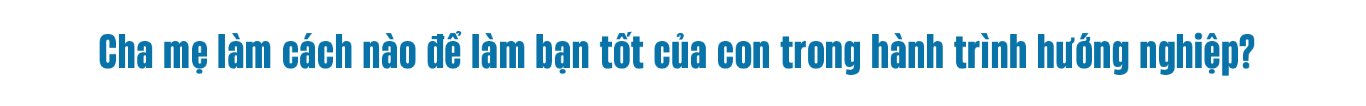 Banner Full Width