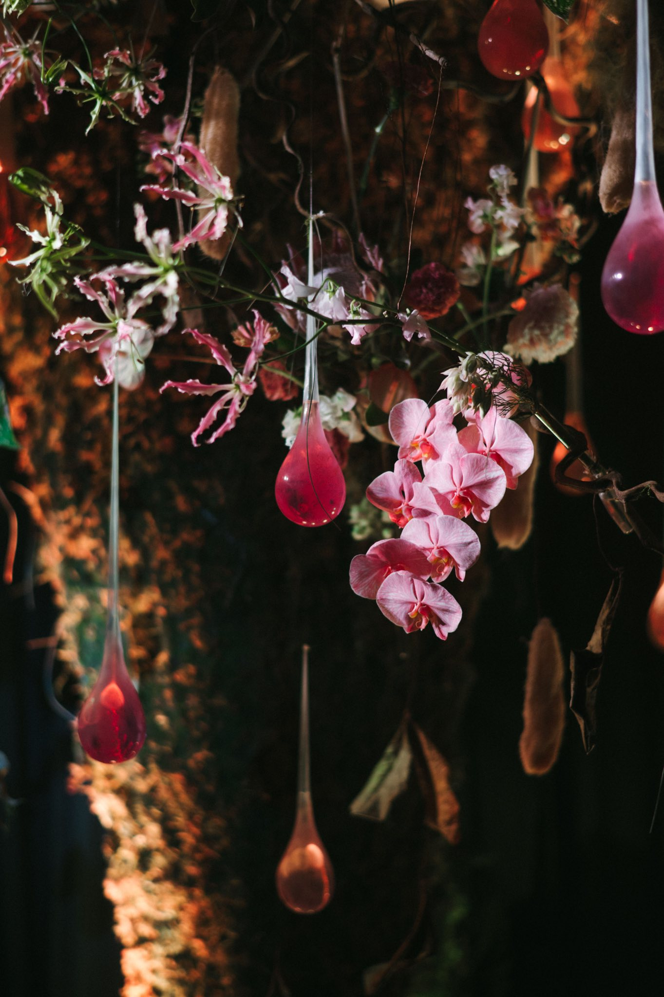 Banner Full Width