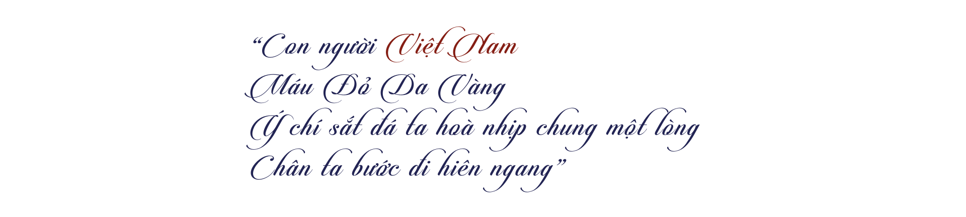 Banner Full Width