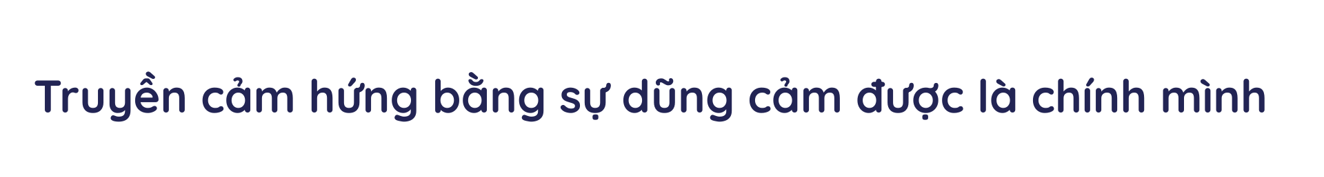 Banner Full Width