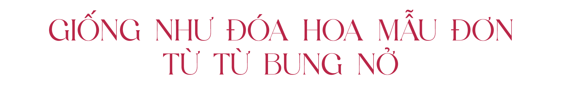 Banner Zoom in