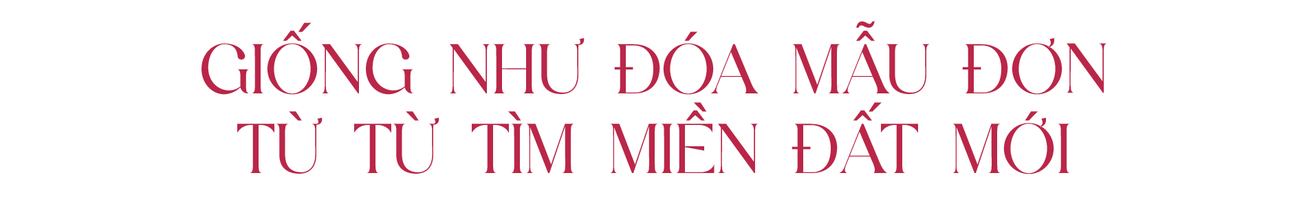 Banner Zoom in