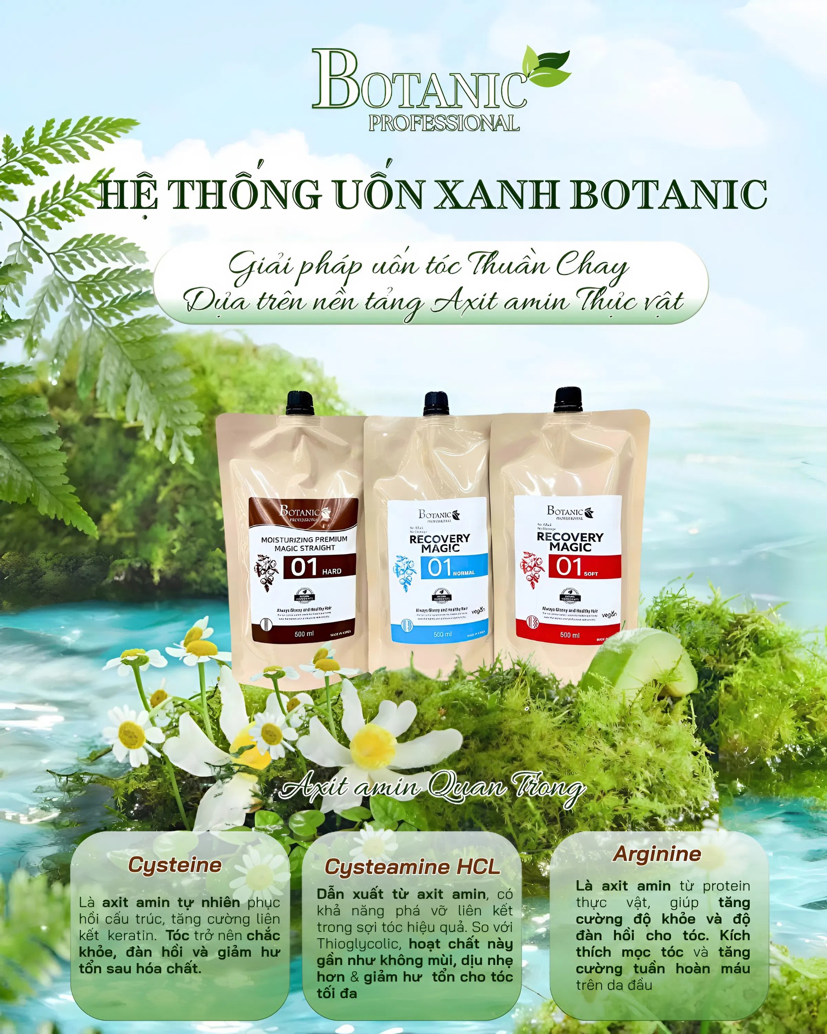 Banner Full Width
