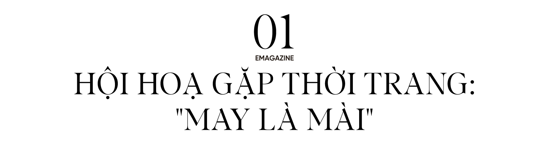 Banner Full Width