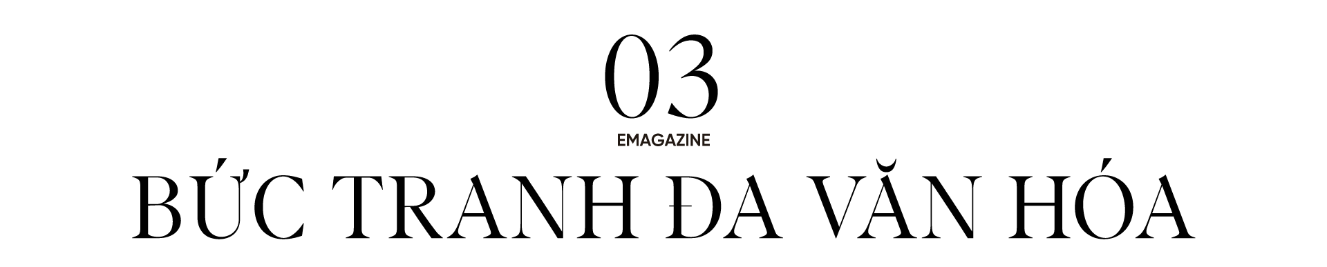 Banner Full Width
