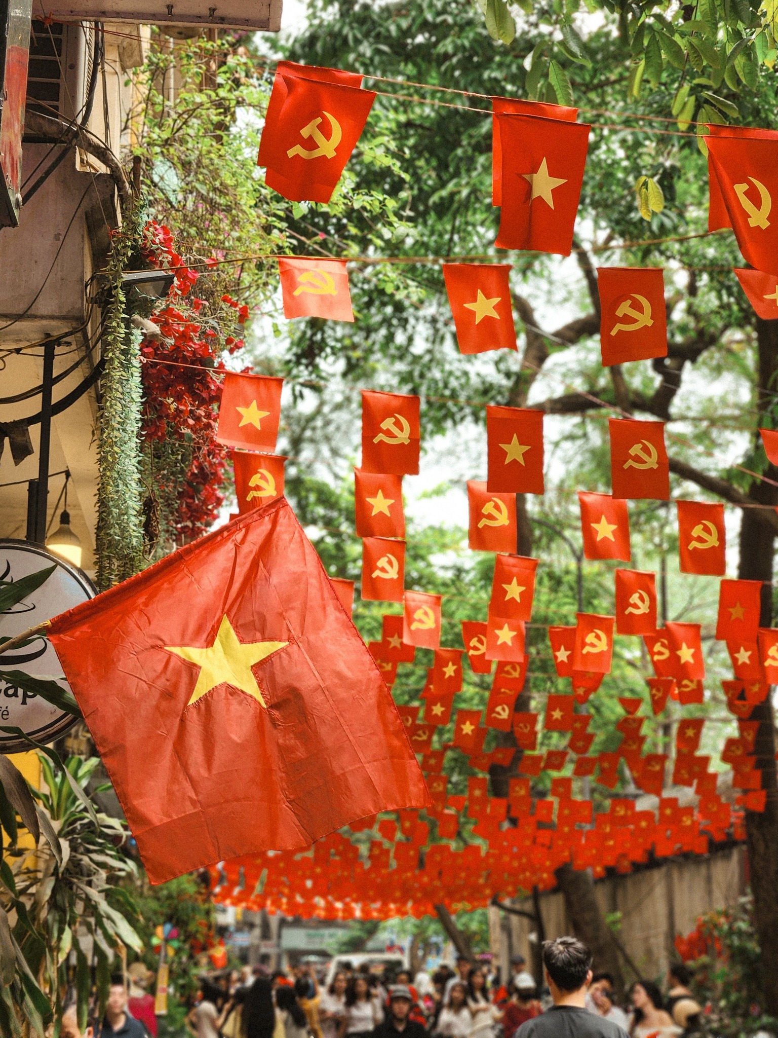 ha-noi-ruc-co-hoa-tung-bung-khi-the-mung-80-nam-quoc-khanh-11