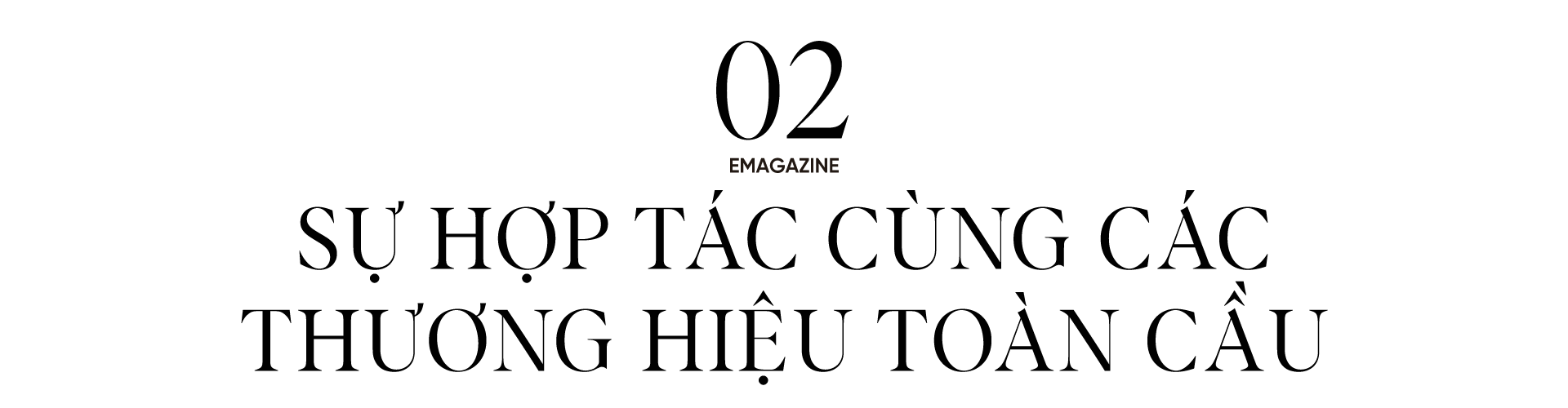 Banner Zoom in