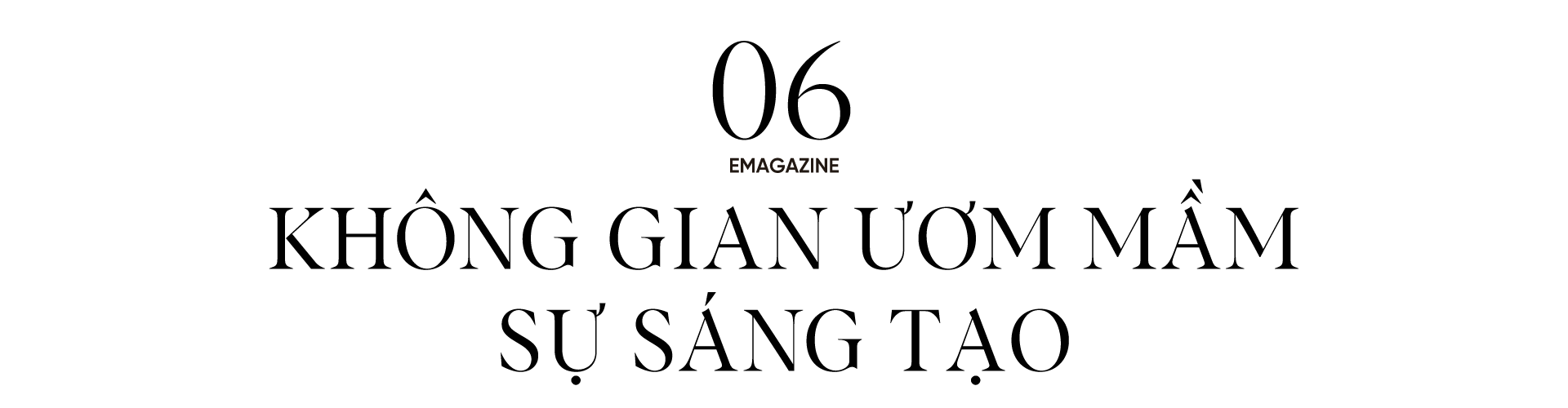 Banner Zoom in