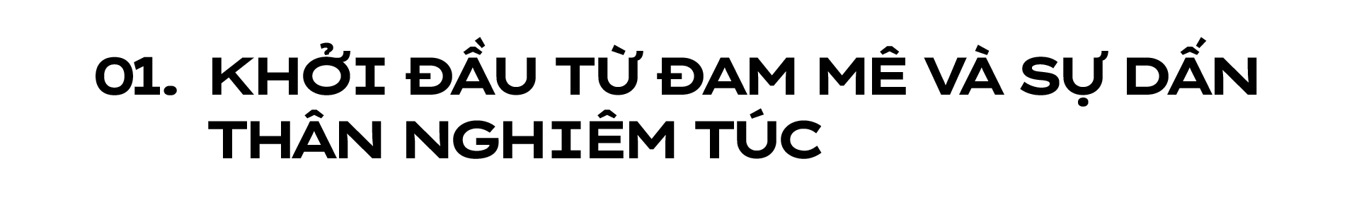 Banner Zoom in
