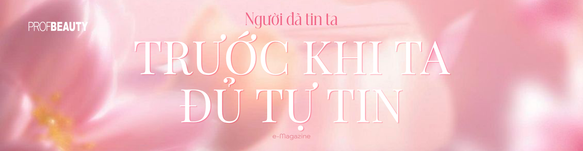 Banner Zoom in