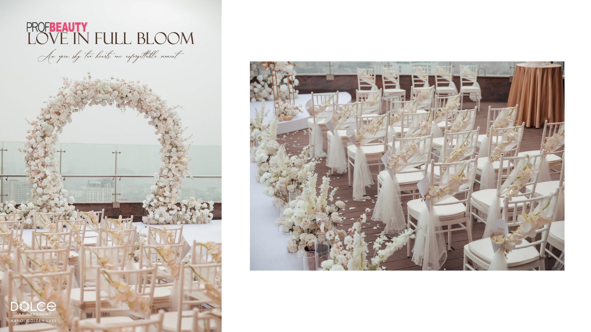 Banner Full Width
