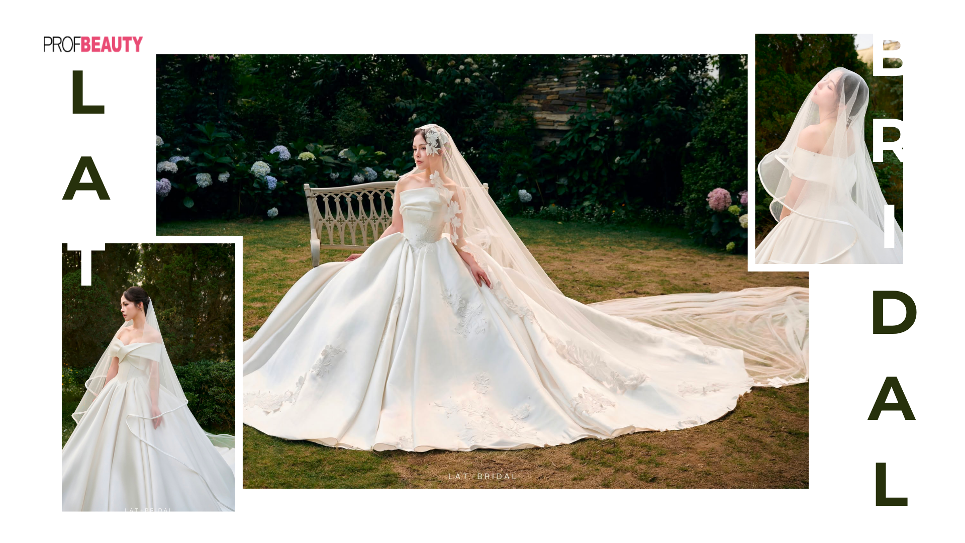 Banner Full Width
