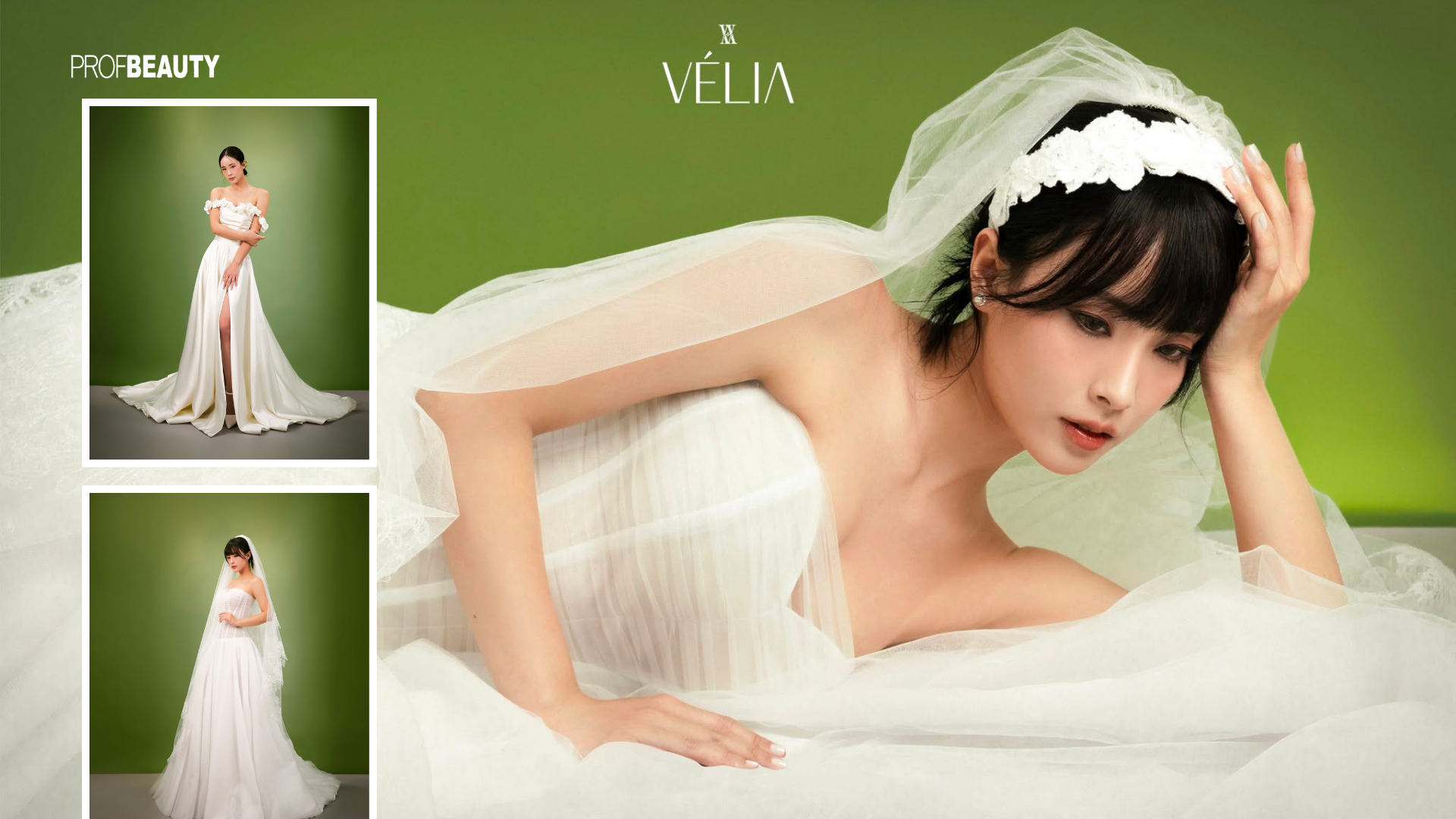 Banner Full Width