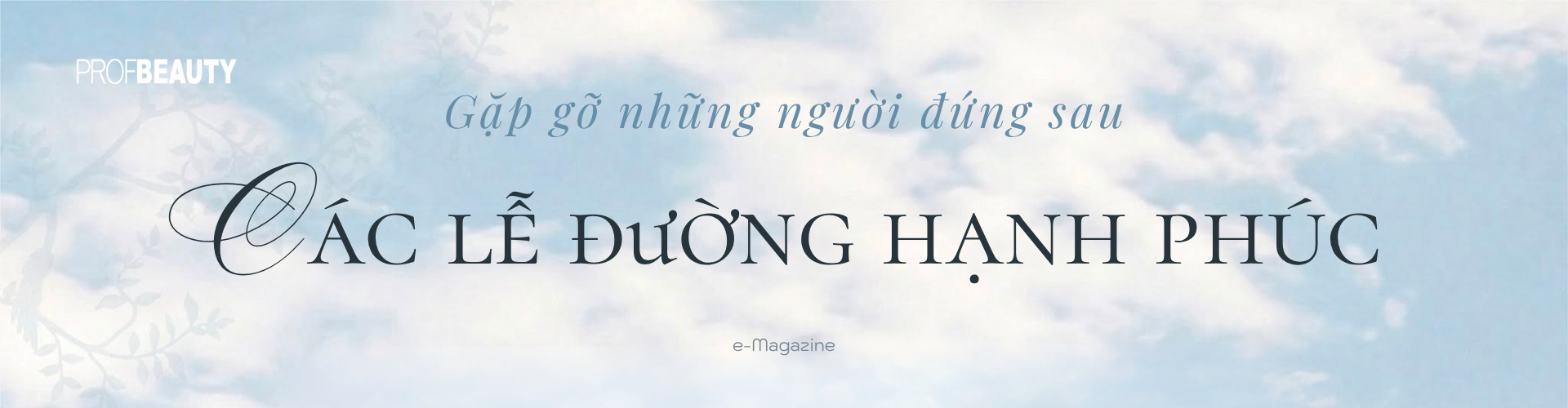 Banner Zoom in