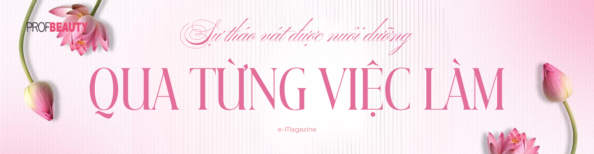Banner Zoom in