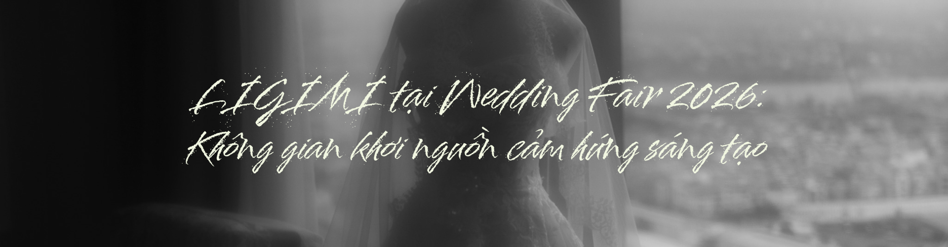 Banner Zoom in
