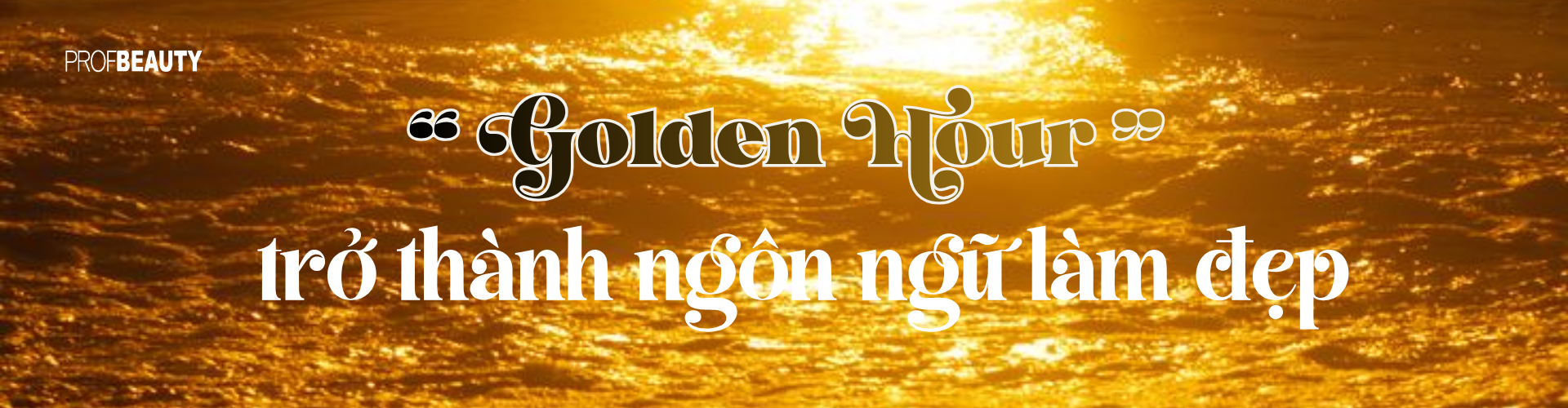 Banner Zoom in