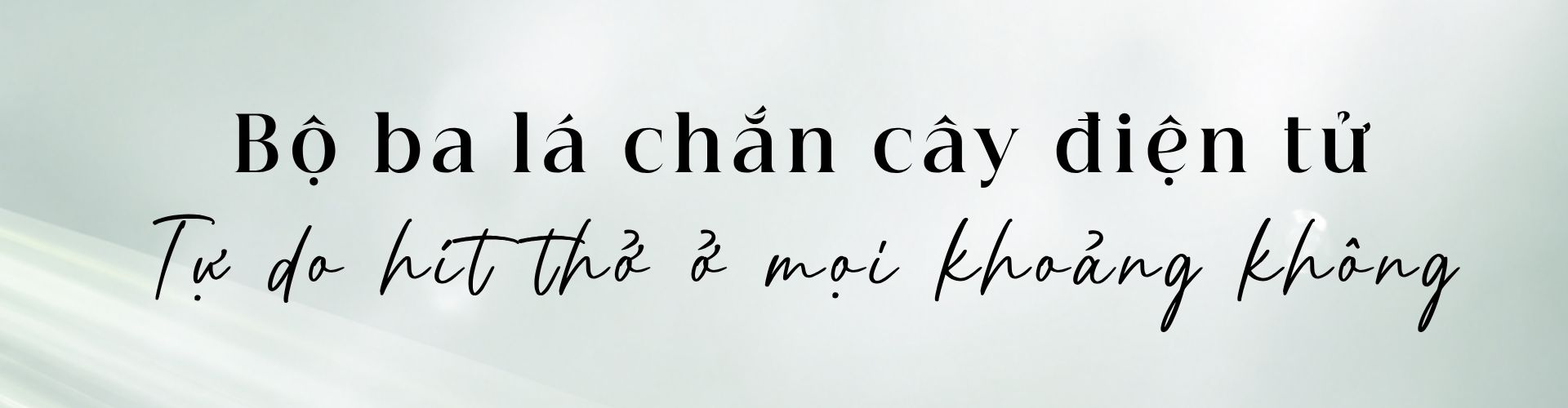 Banner Zoom in