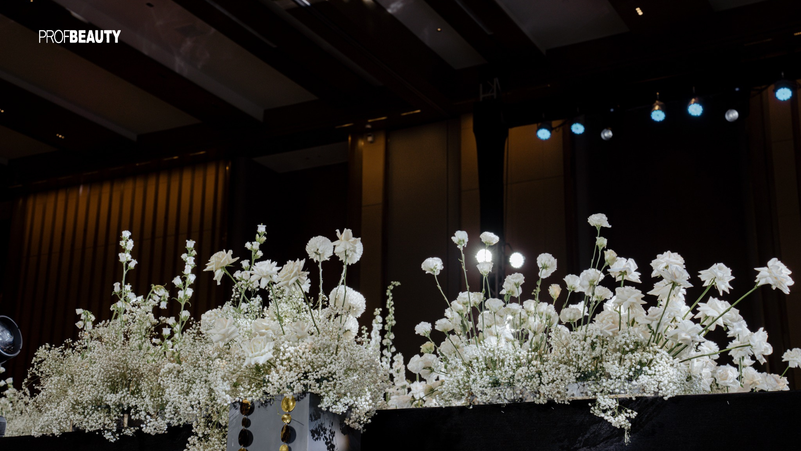 Banner Full Width