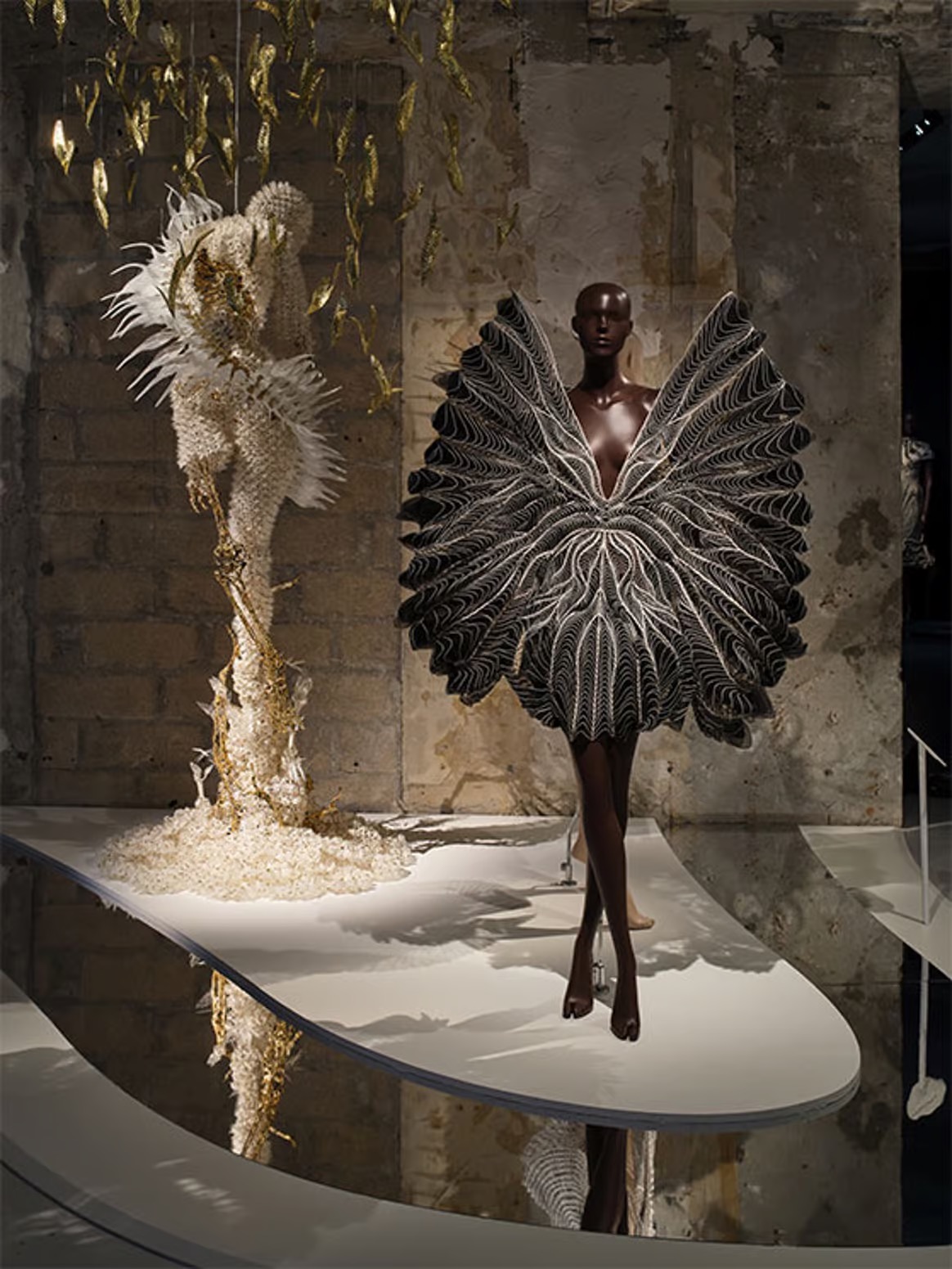 Iris van Herpen