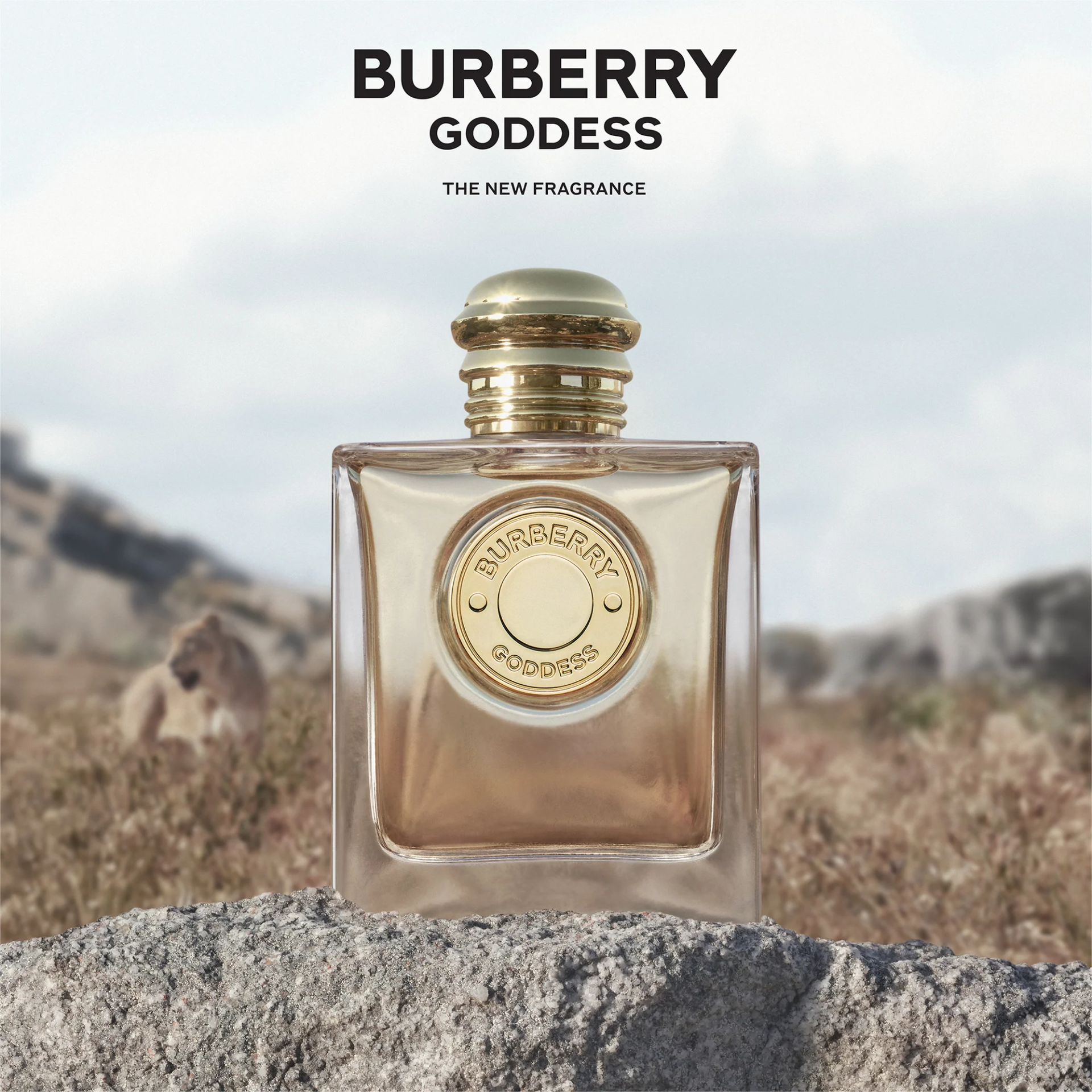 Burberry Goddess Eau De Parfum là mùi hương vani đại diện cho người phụ nữ hiện đại 