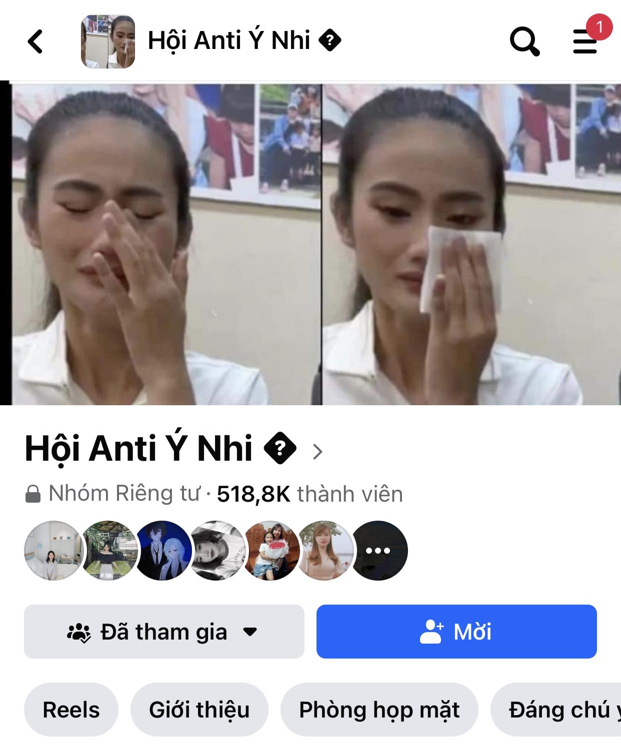 Group anti Ý Nhi có lúc lên đến hơn 500.000 thành viên 